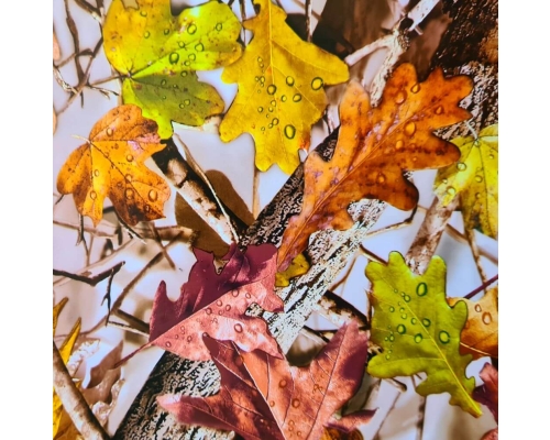 Folia do hydrografiki - Las W044B